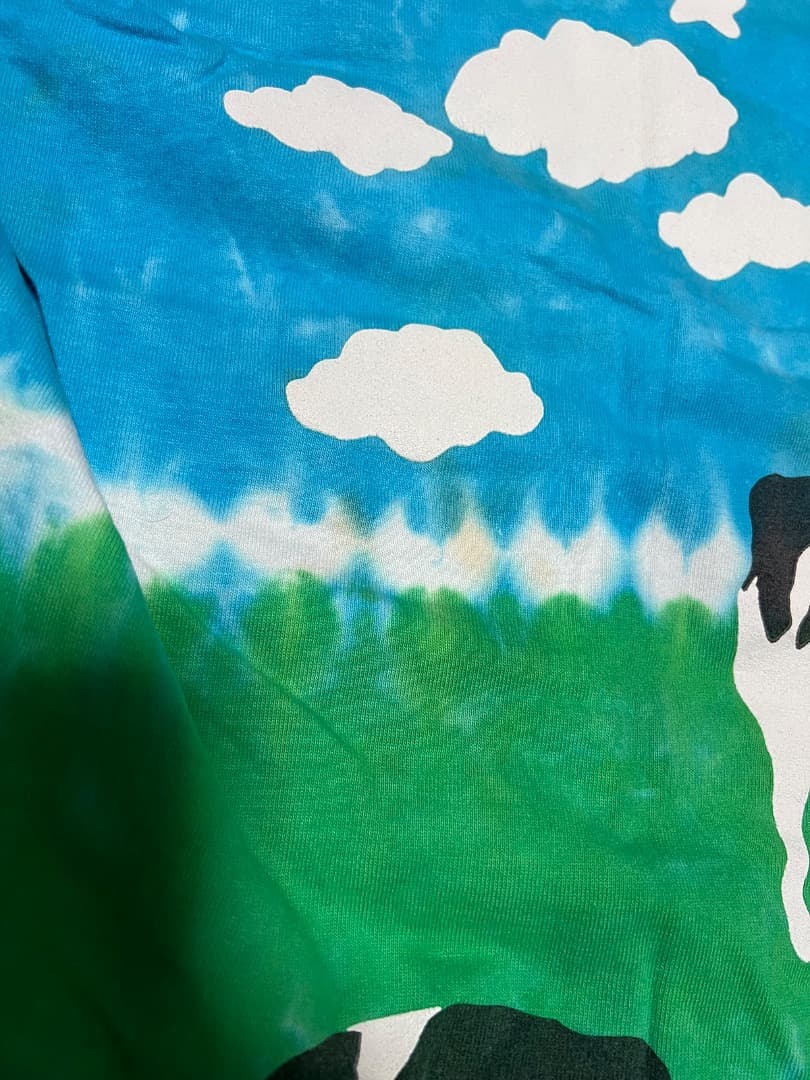 BEN&JERRY'S Tシャツ XXL ヴィンテージ　USA