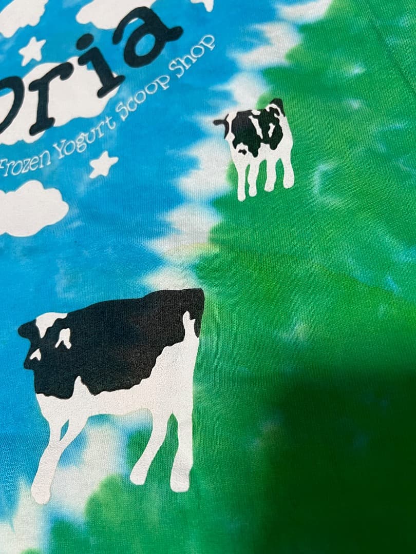 BEN&JERRY'S Tシャツ XXL ヴィンテージ　USA