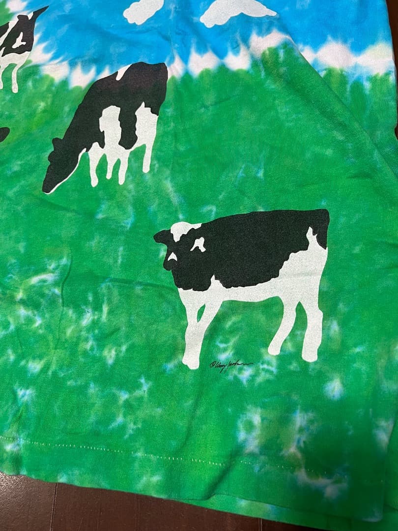 BEN&JERRY'S Tシャツ XXL ヴィンテージ　USA
