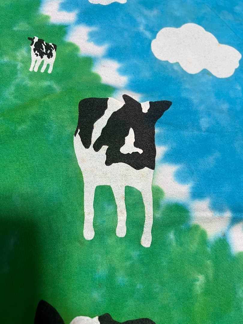 BEN&JERRY'S Tシャツ XXL ヴィンテージ　USA