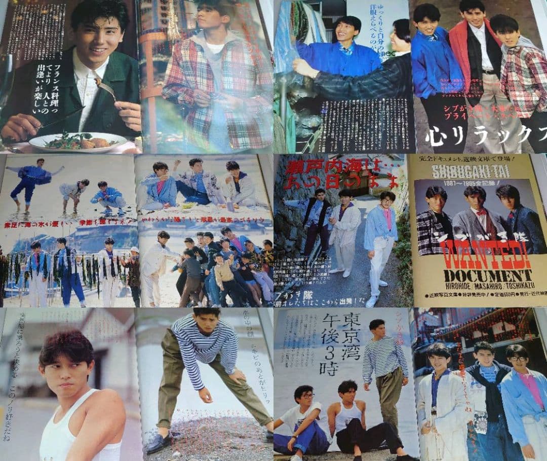 シブがき隊　1981年〜1988年 レア　大量　切り抜き　ファイル　2冊120P