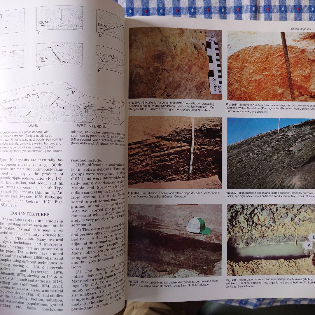 Sandstone Depositional Environments洋書
