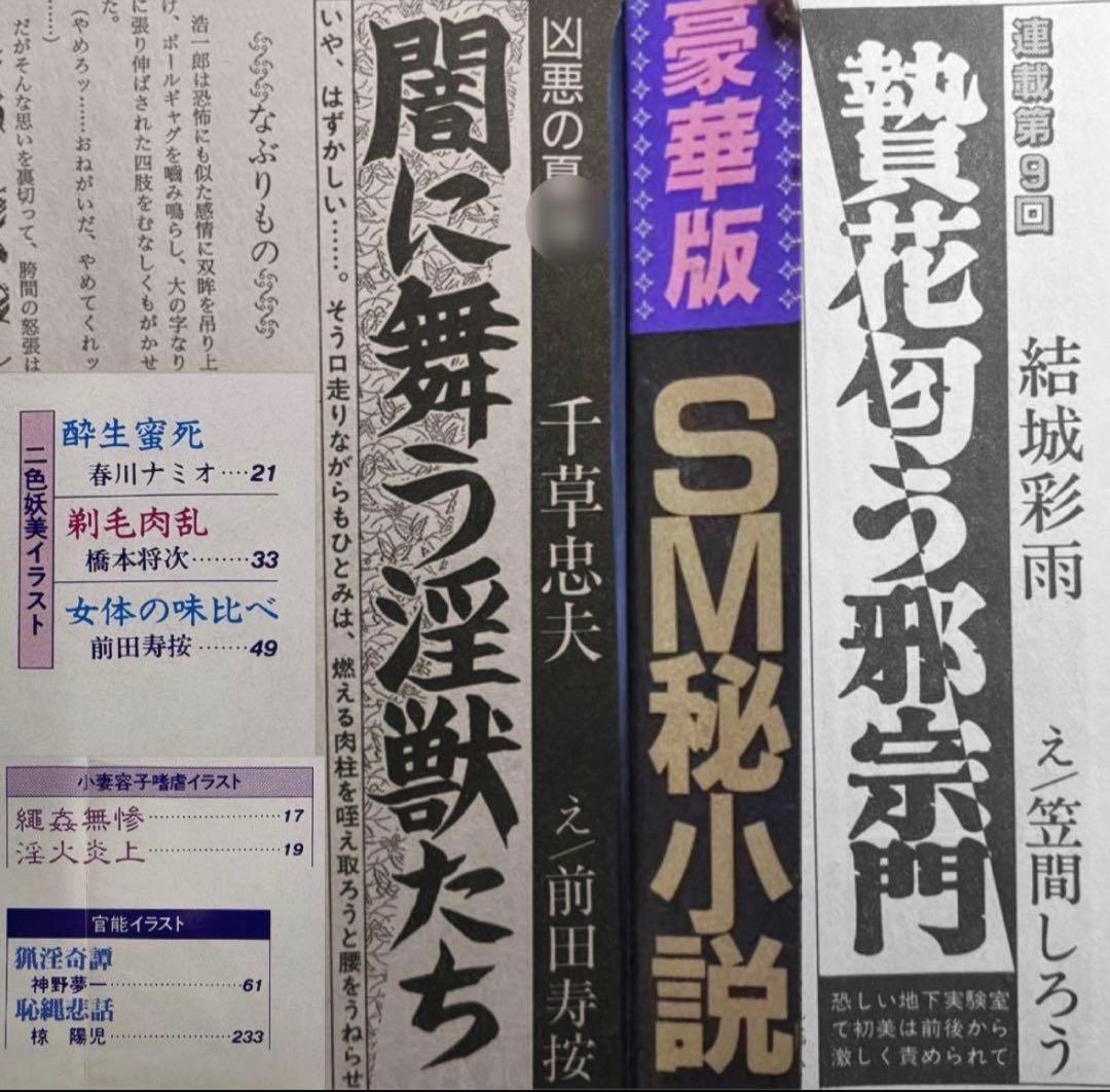 絶版】秘小説94年11月 千草忠夫 結城彩雨 　　　前田寿按 楡畑雄二 椋陽児