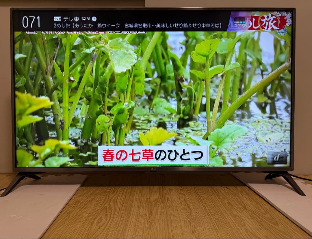 LG 49UJ6100 49インチ　2017年製　⭕️ 4K液晶ネット動画テレビ