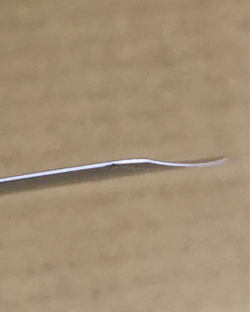 ハチ様確認用