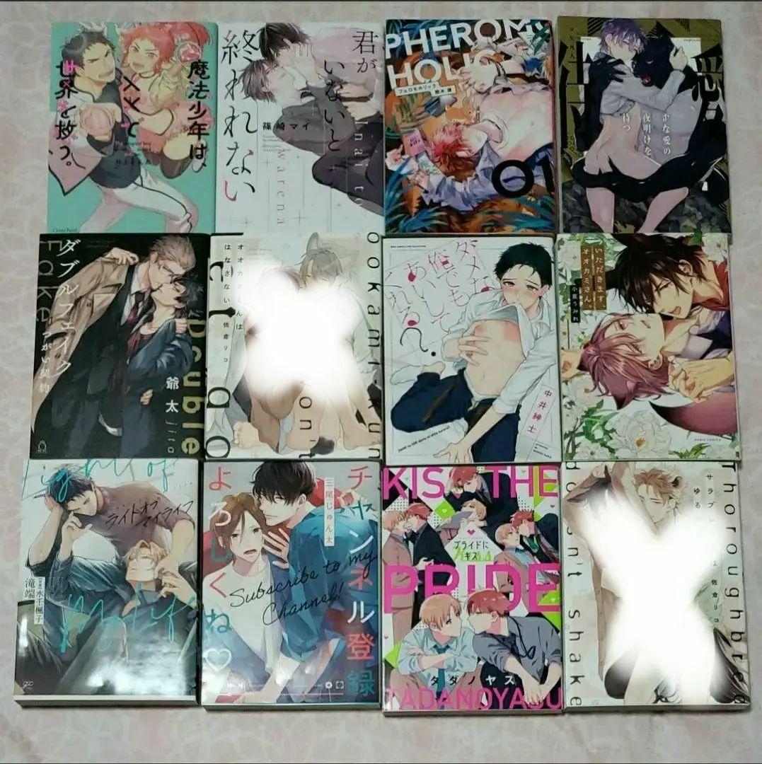 BLコミック まとめ売り バラ売り可 漫画 ボーイズラブ　⑤