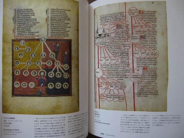 THE BOOK OF TREES 系統樹大全　帯付き　ハードカバー版