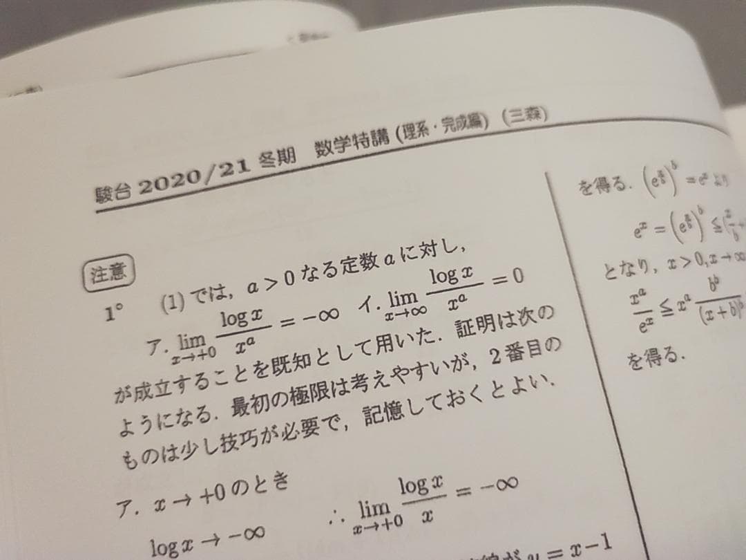 駿台　数学特講（理系・完成編）講義問題・研究問題　三森司先生　鉄緑会　河合塾