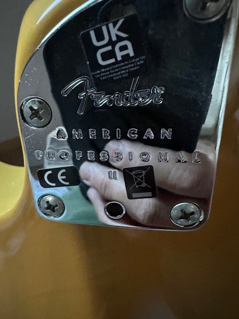 fender アメリカン プロフェッショナル2 テレキャスター