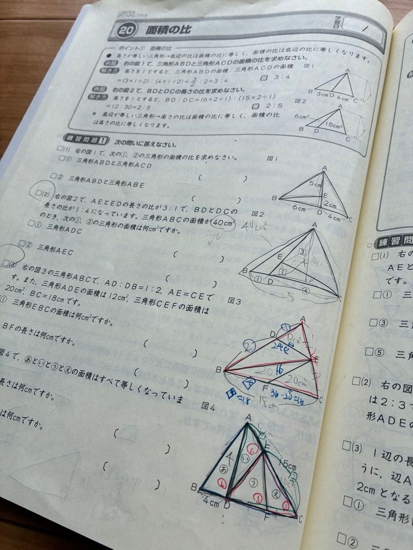【2025年度版】 ena 小学6年生 パースペクティブ テキスト 1年分