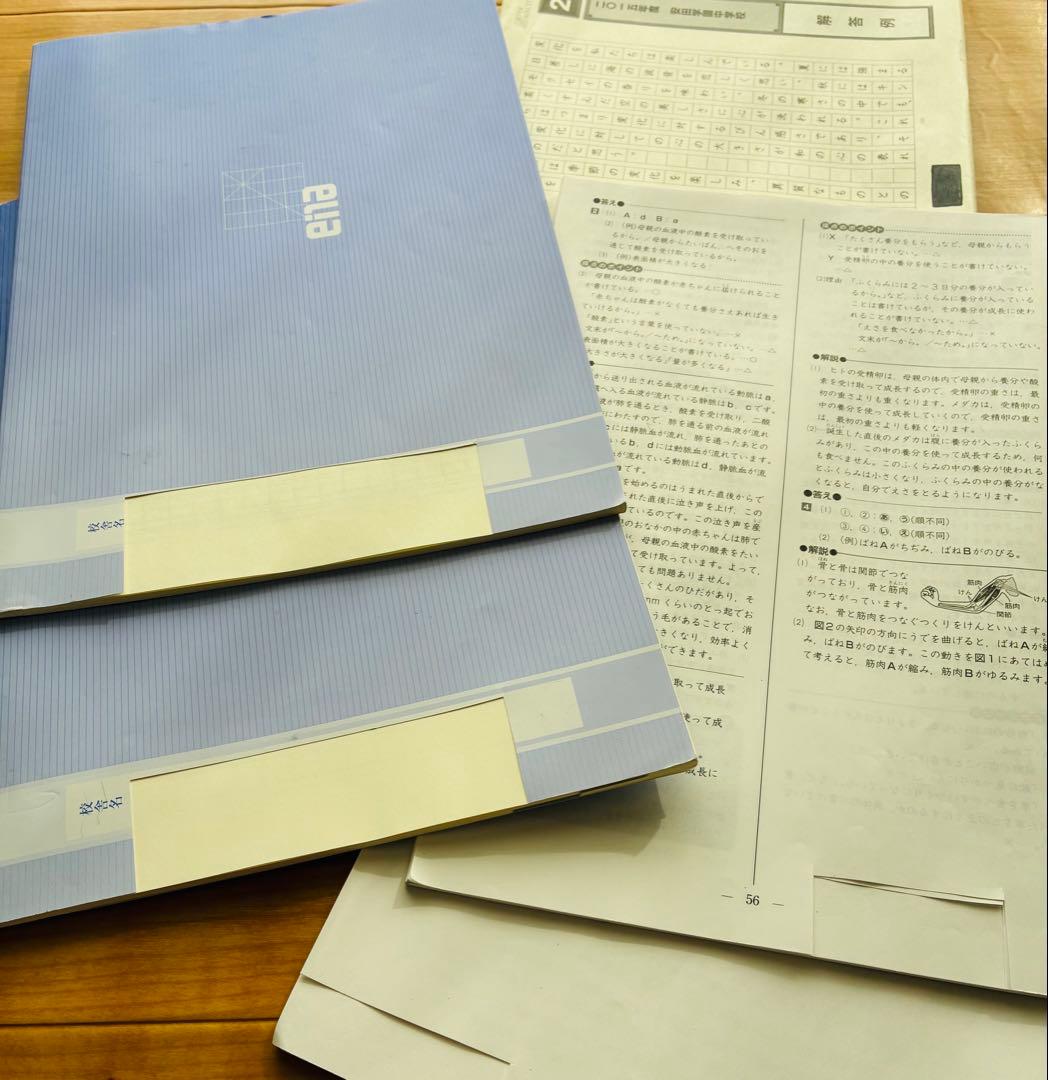 【2025年度版】 ena 小学6年生 パースペクティブ テキスト 1年分