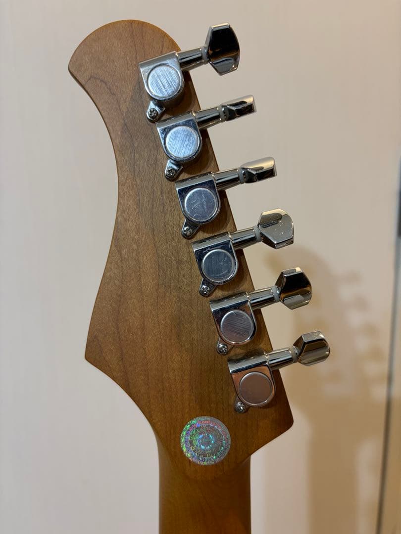 【保証残有り】Bacchus GS-4DX RSM IBM エレキギター