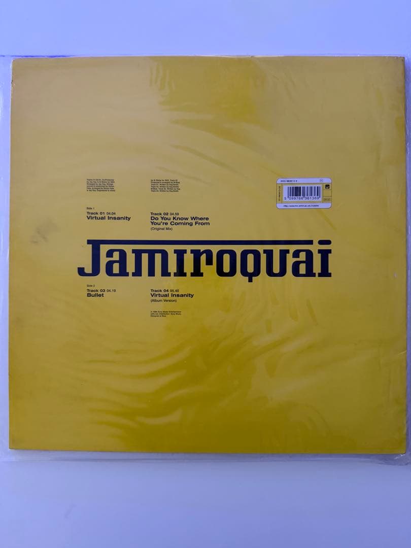 Jamiroquai Virtual Insanity レコード
