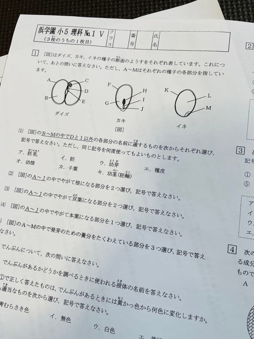 i浜学園　最新版　2023年　小5　復習テスト　Vクラス　算国理　3科目