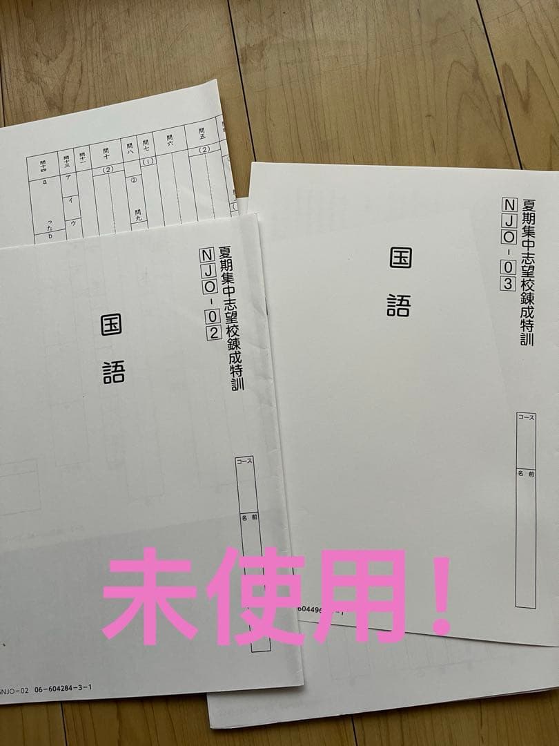 サピックス 6年 夏期集中志望校錬成特訓 国算理社　4科セット