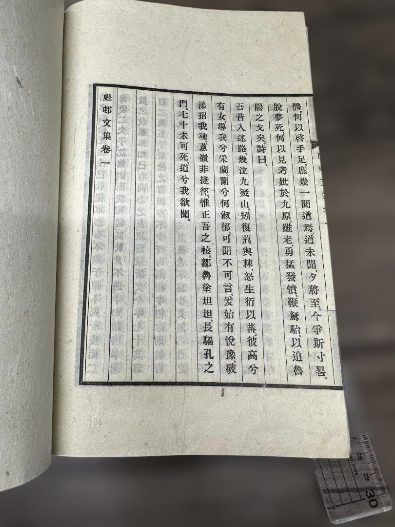 彪邨文集 天地 全2冊 和本 唐本 古書