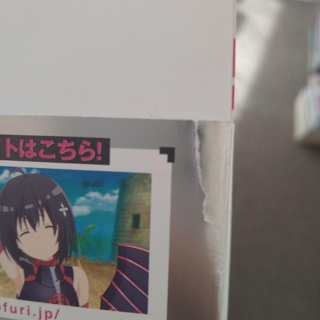 痛いのは嫌なので防御力に極振りしたいと思います。全巻完結（19巻）セット