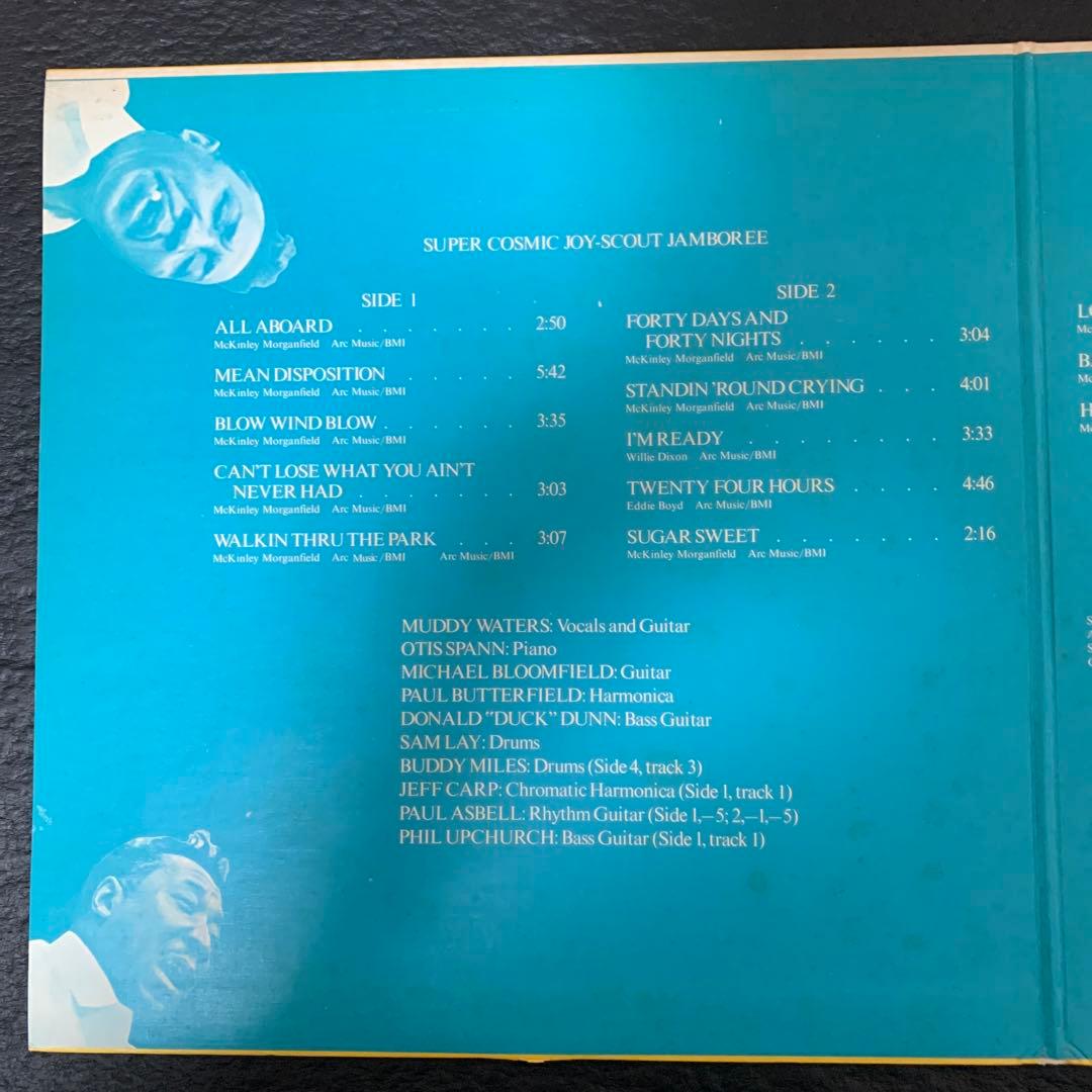 Muddy Waters -Fathers And Sons ２枚組レコード