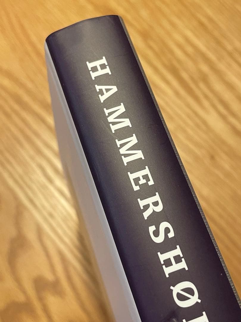 HAMMERSHØI AND EUROPE ハードカバー