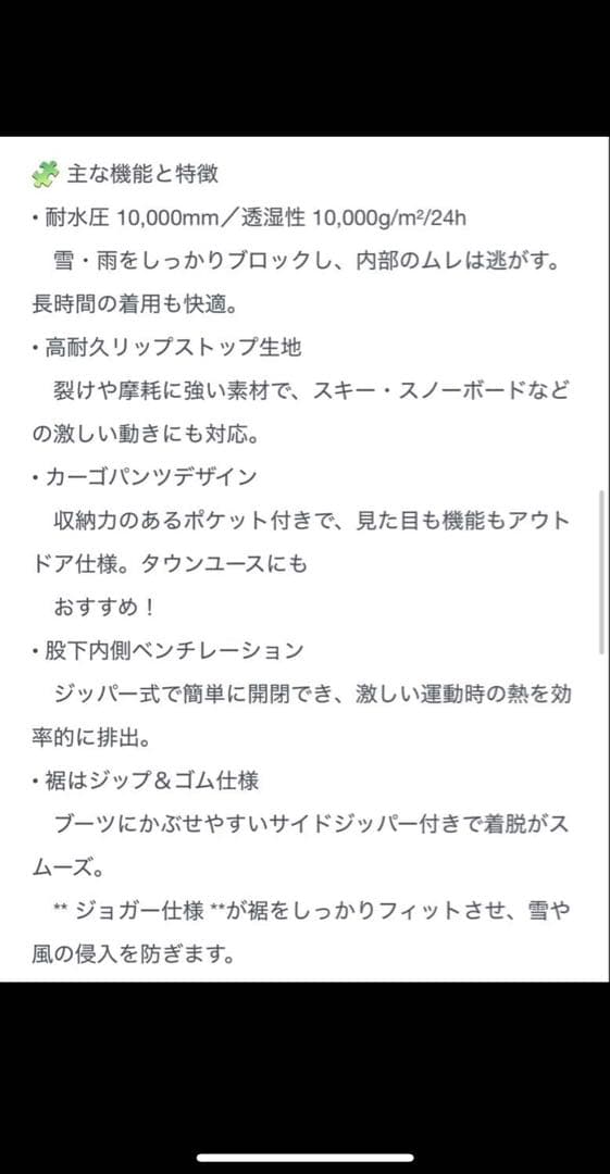 REPUBLIC&COリパブリック スノーボード ウェア Lサイズ
