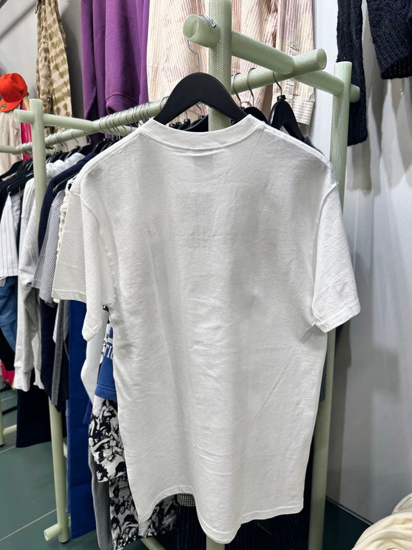 Stussy 00s laura photo t-shirts ステューシー
