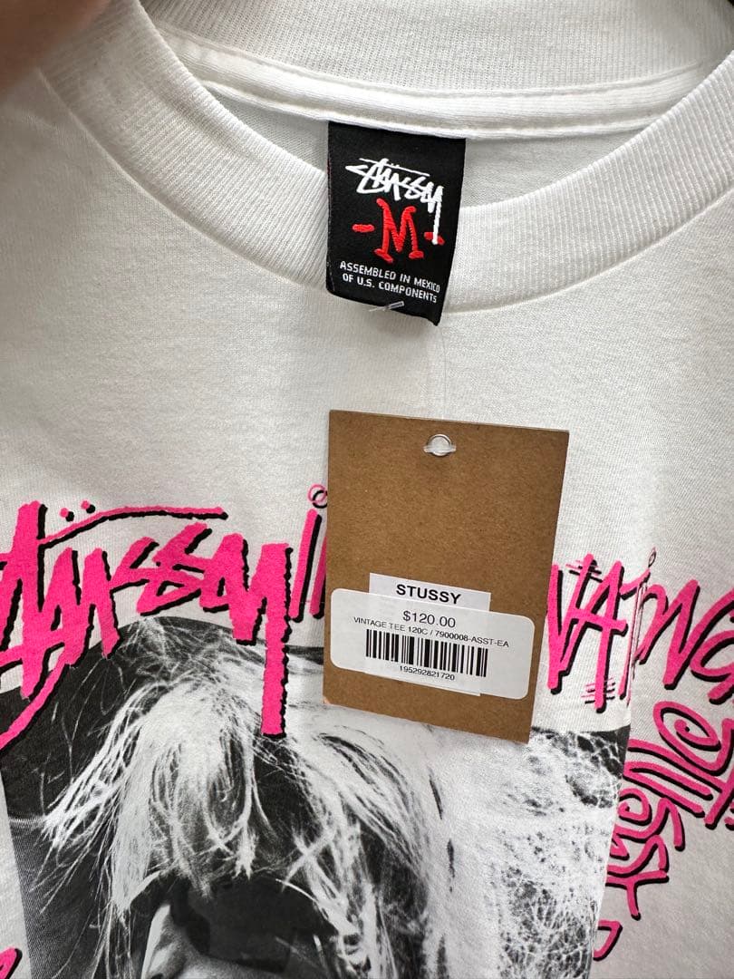 Stussy 00s laura photo t-shirts ステューシー