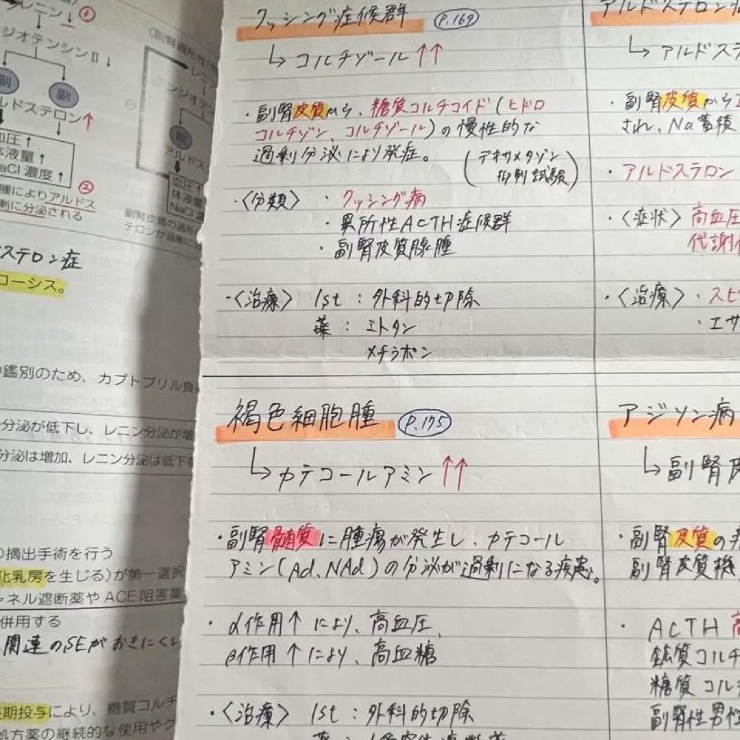 薬学ゼミナール　青本　1年コース　書き込み