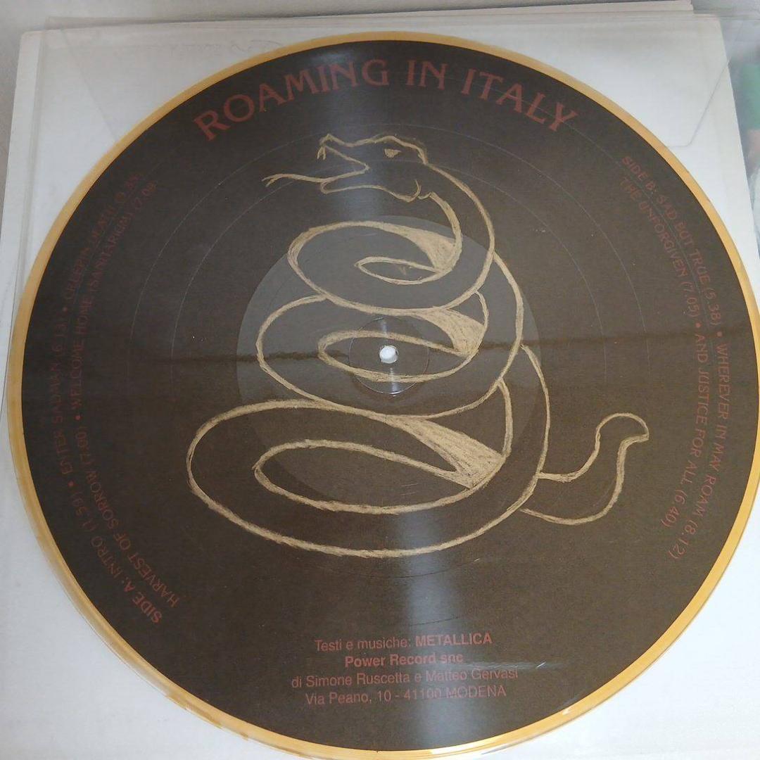 限定ピクチャー盤 LP llica Roaming In Italy