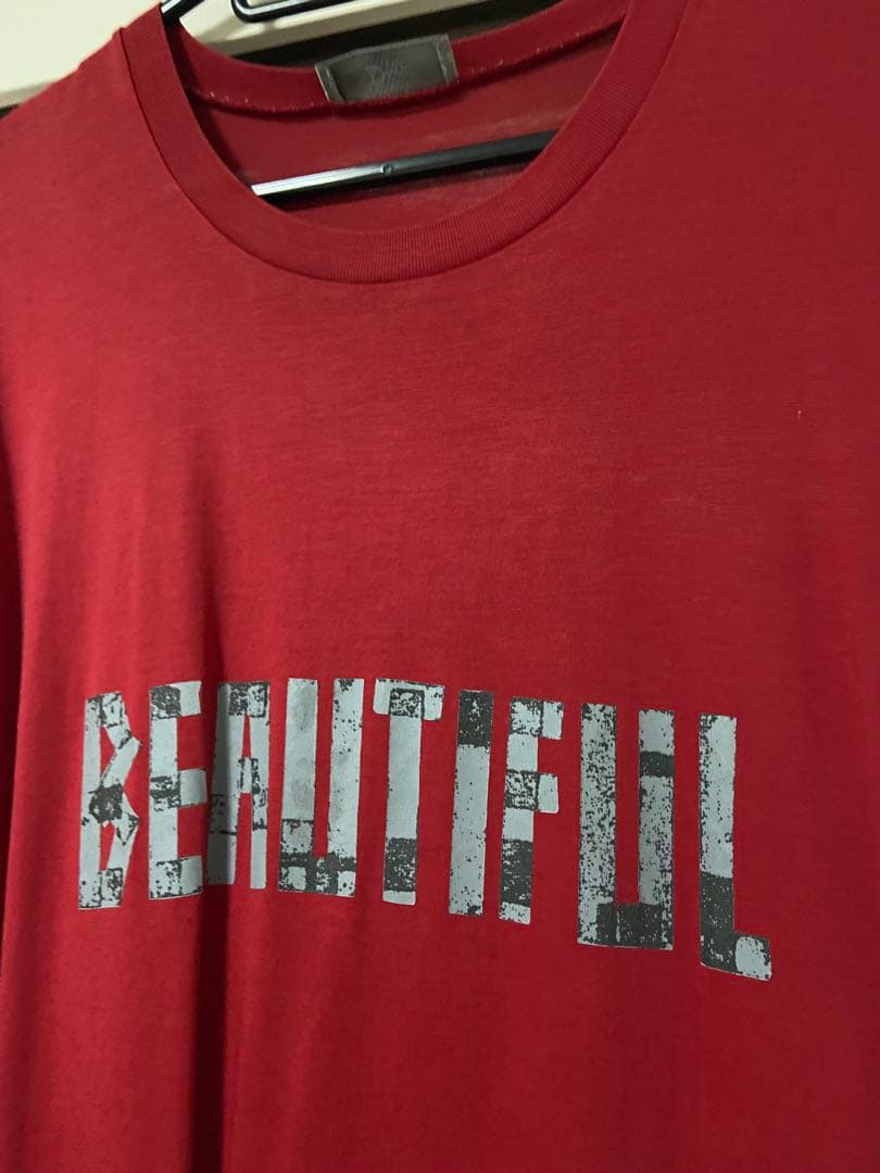 ディオールオム　Tシャツ　beautiful エディスリマン