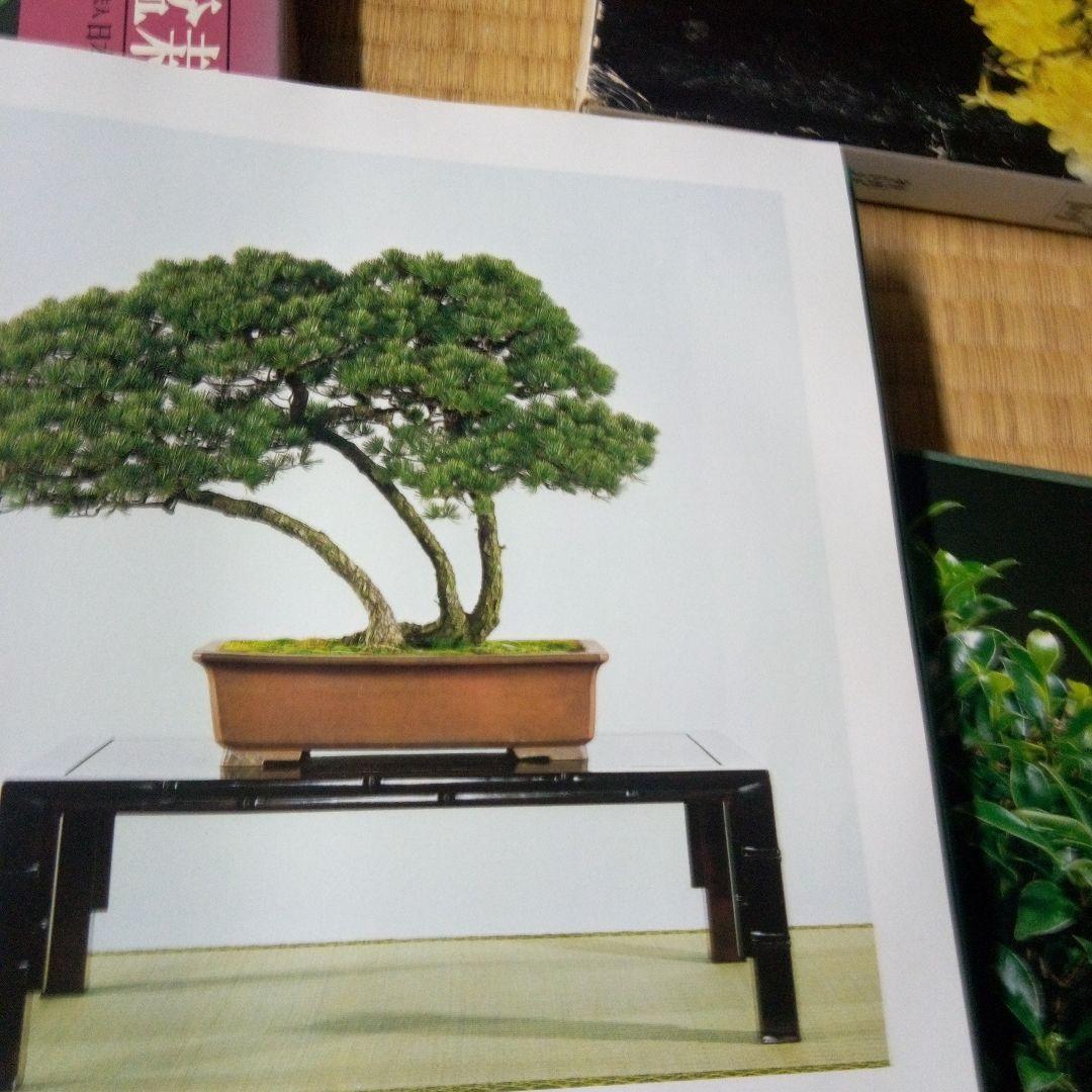 国風盆栽展　第55回、第56回、第57回、第66回　4冊セット　バラ売り承ります