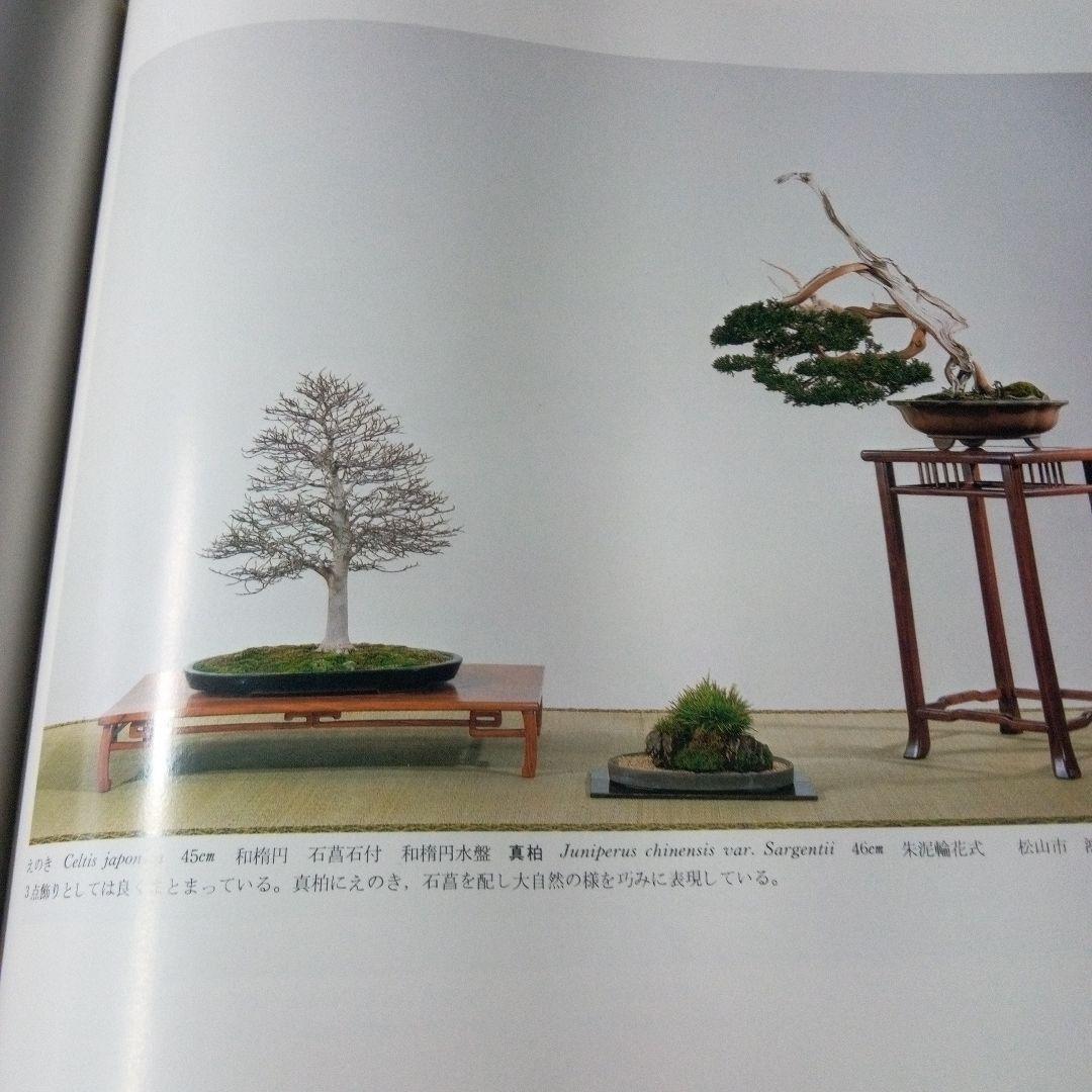 国風盆栽展　第55回、第56回、第57回、第66回　4冊セット　バラ売り承ります