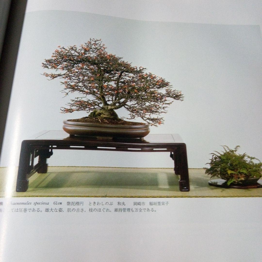 国風盆栽展　第55回、第56回、第57回、第66回　4冊セット　バラ売り承ります