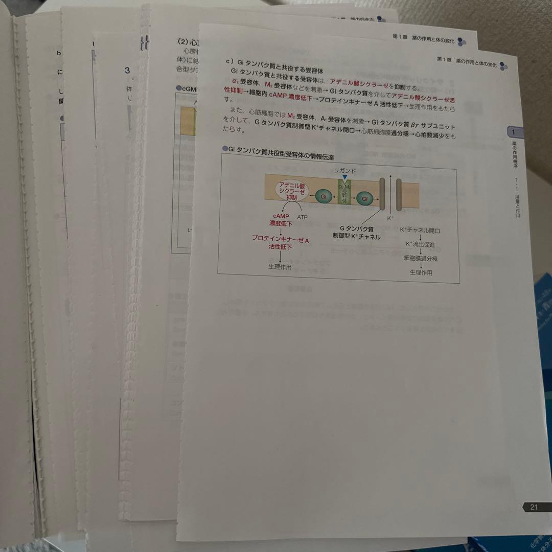 第111回 薬剤師国家試験 青本 青問 9科目セット18冊
