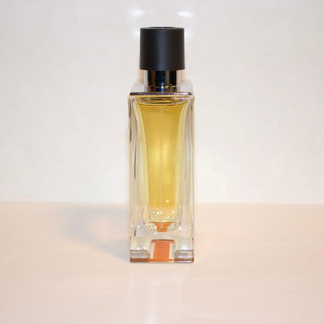 TERRE D'HERMÈS Eau de Toilette 100ml