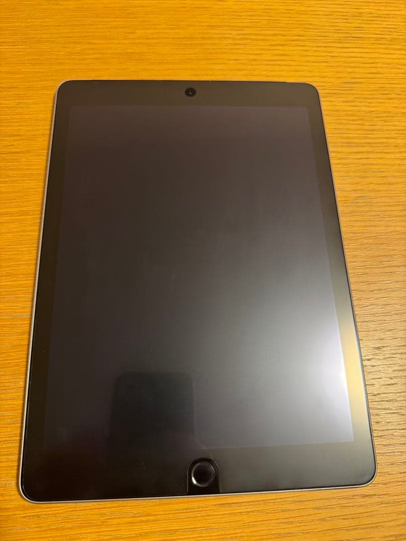 Apple iPad Air2 WiFiモデル 第2世代 16GB ケース付