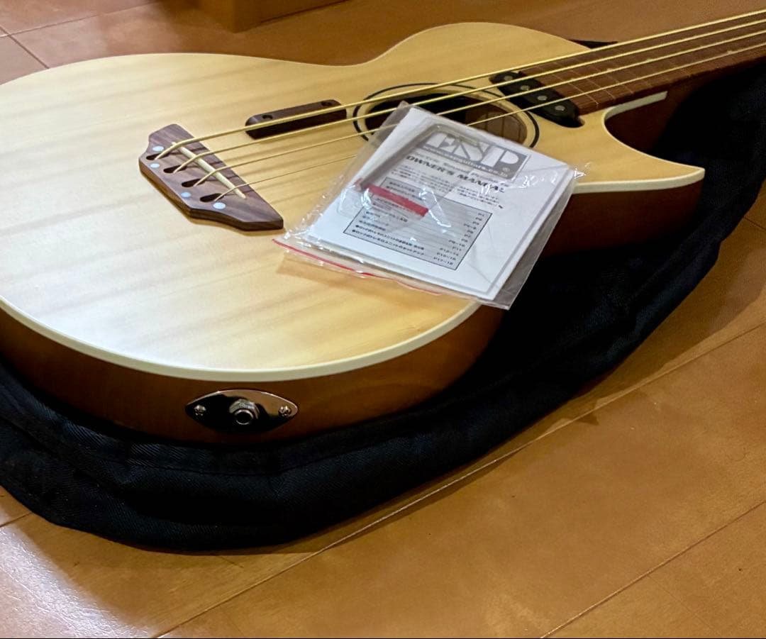 G-AC-BASS-FL by ESPエレアコフレットレスベース