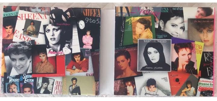 シーナ・イーストン/The Definitive Singles 1980-87