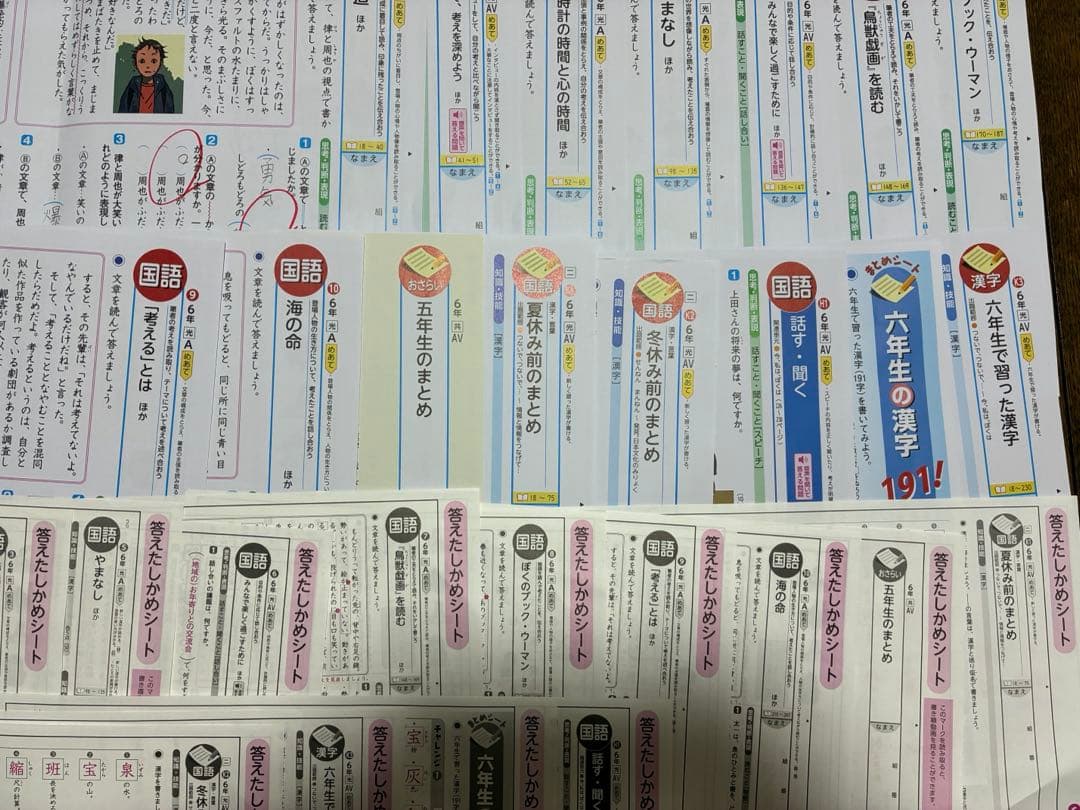 カラーテスト 小6国語 光村図書