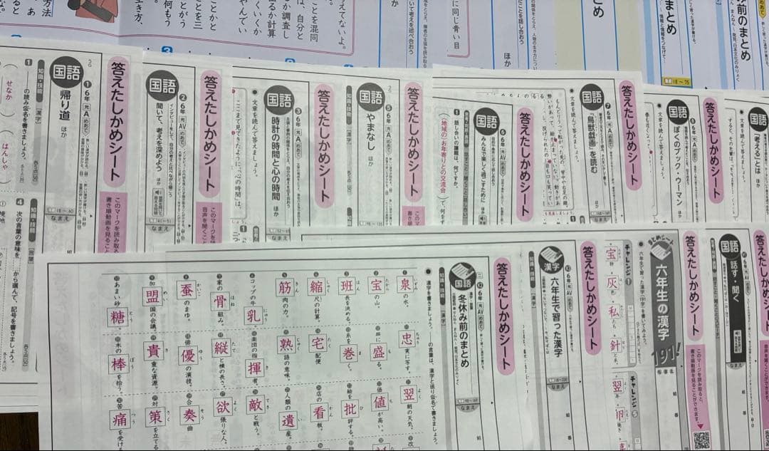 カラーテスト 小6国語 光村図書