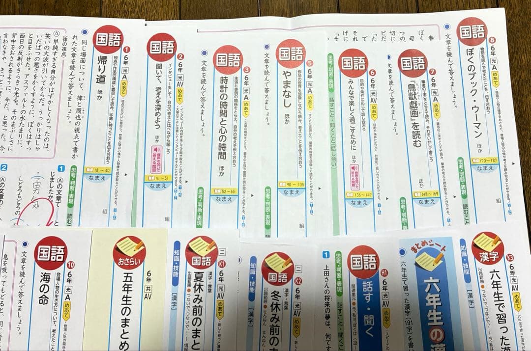 カラーテスト 小6国語 光村図書