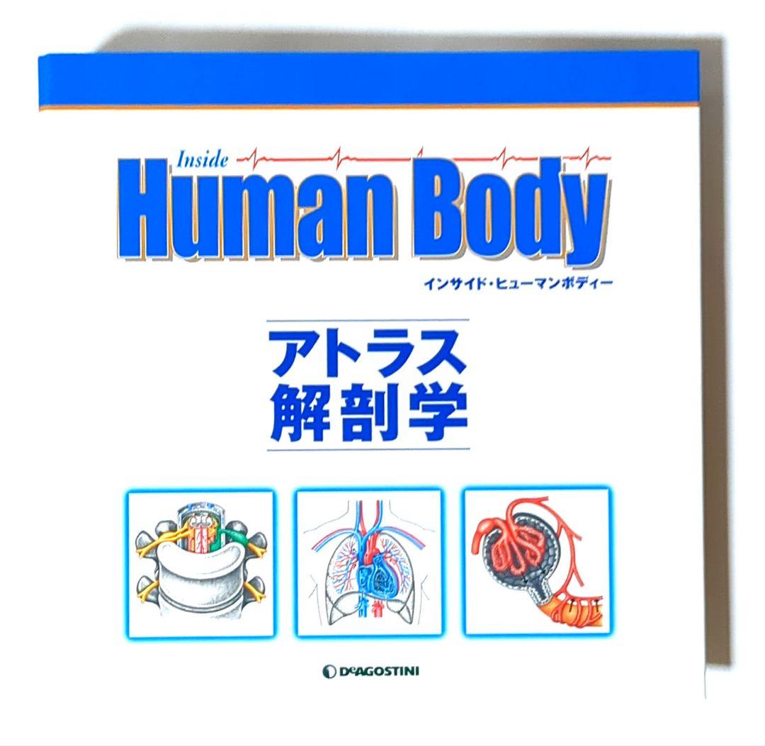 新品ディアゴスティーニ インサイドヒューマンボディコンプリート＋聴診器