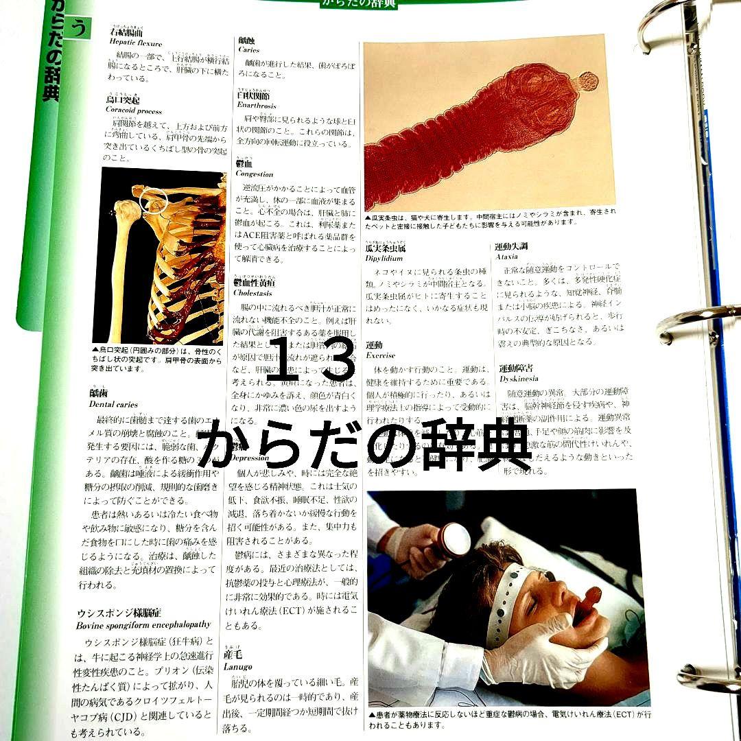 新品ディアゴスティーニ インサイドヒューマンボディコンプリート＋聴診器