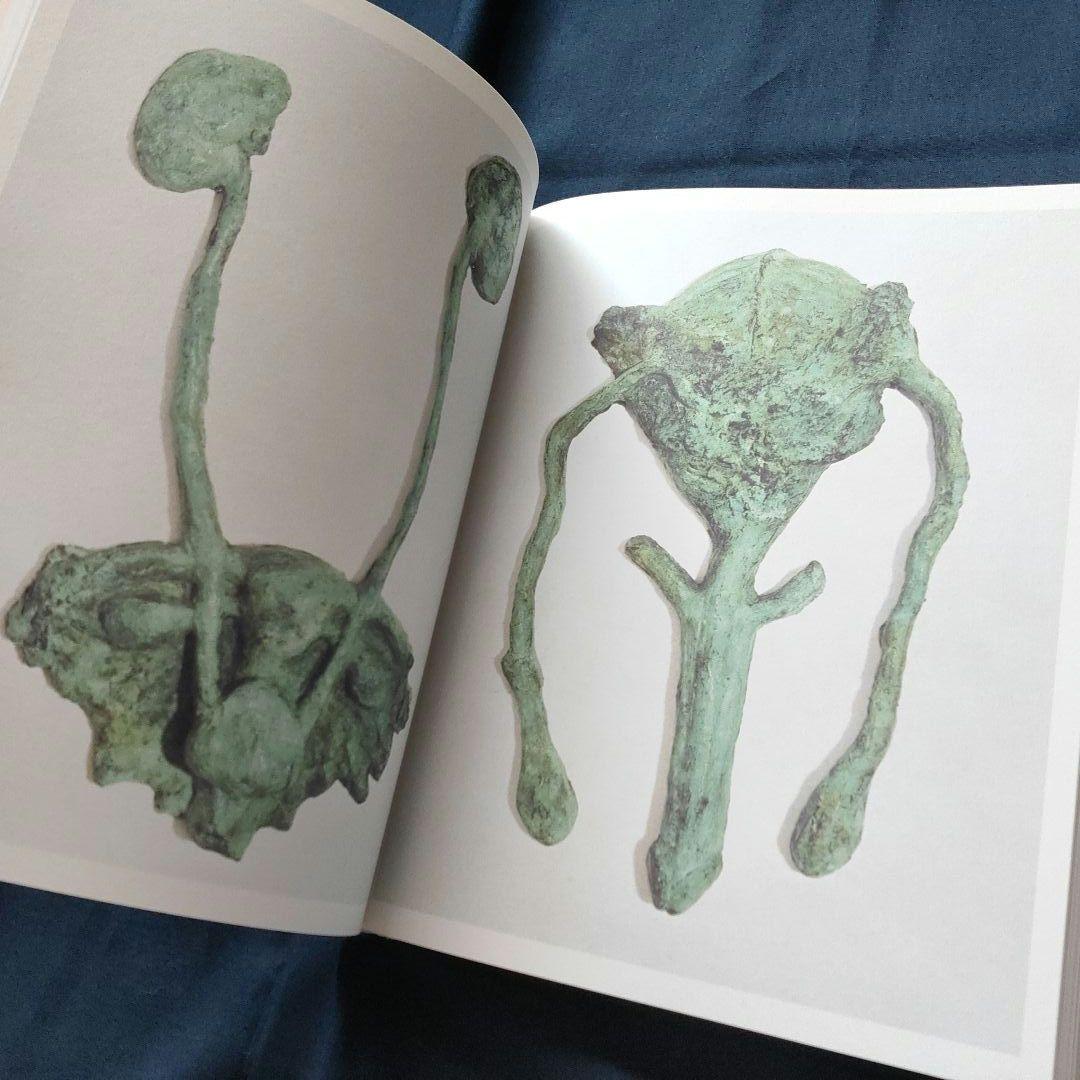 Kiki Smith Procession 洋書