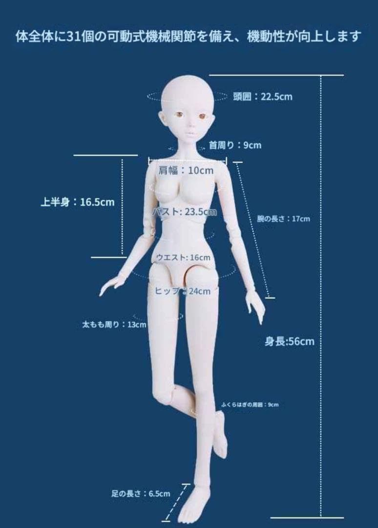 BJD 1/3ドール フルセット 本体 60cm 球体関節人形 眼球 服 美女