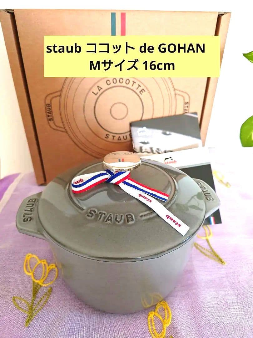 staub ココット de GOHAN　 Mサイズ 16cm