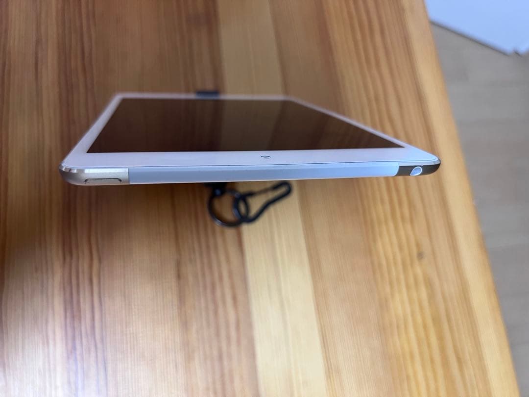 iPad本体 Apple iPad Mini 4 16GB Wi-Fi + Cellular