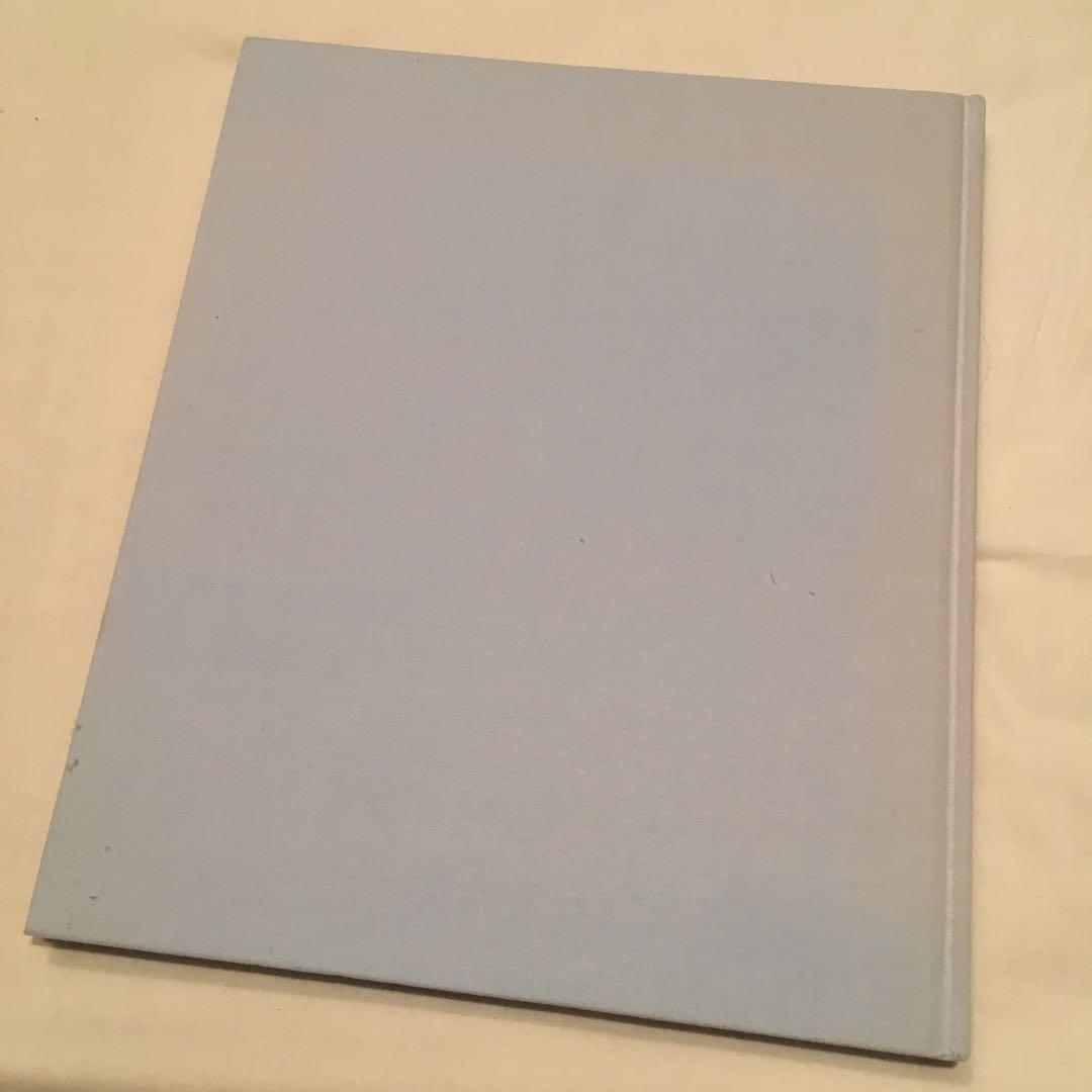 洋書 ICE LINN DAVIS