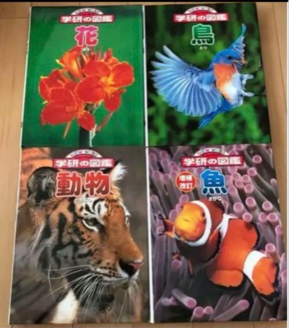 学研　図鑑　昆虫　魚　自動車　汽車　参考書　まとめ売り　動物　植物　昆虫　車