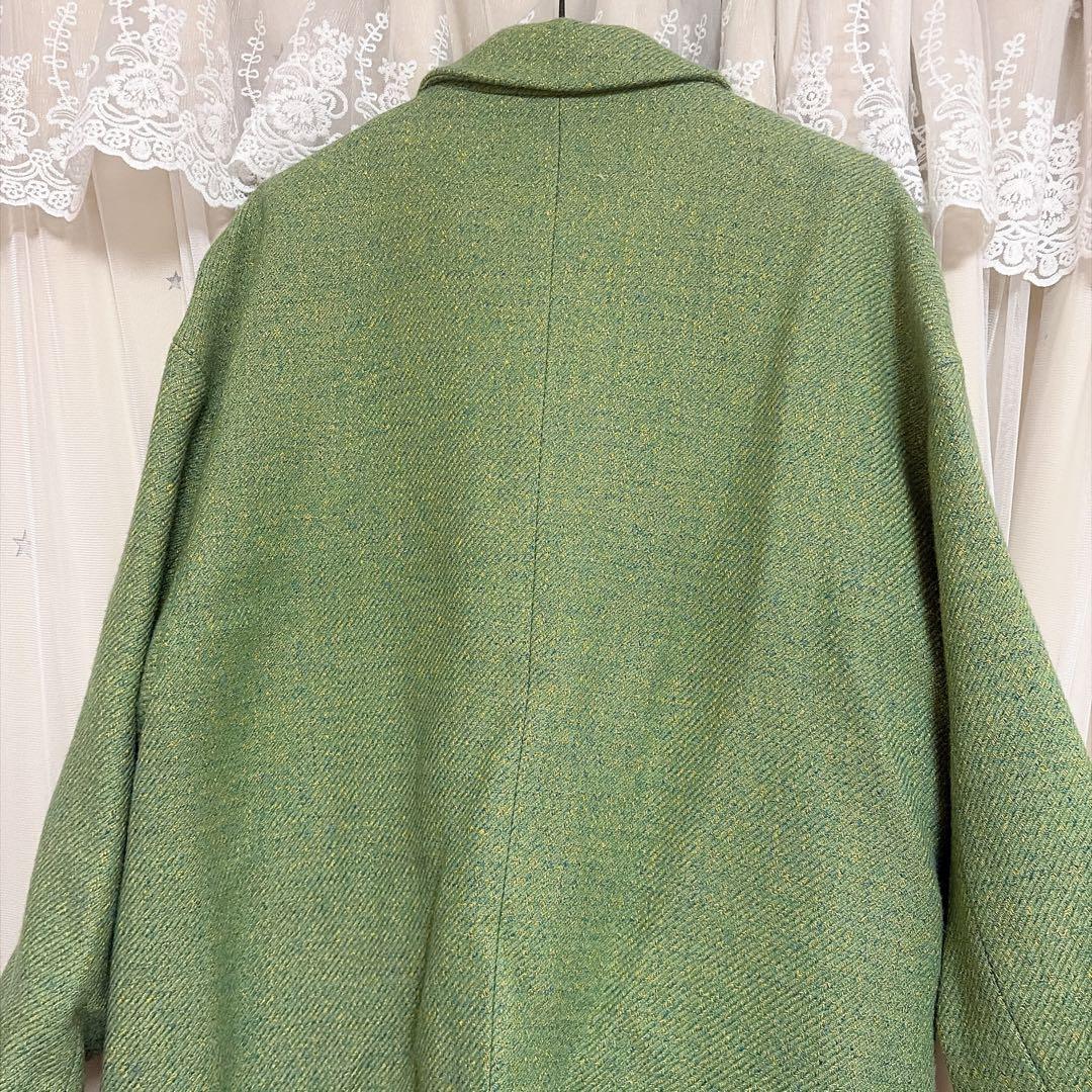 【今週中に削除予定】tnewties アリ観察日記　グリーン