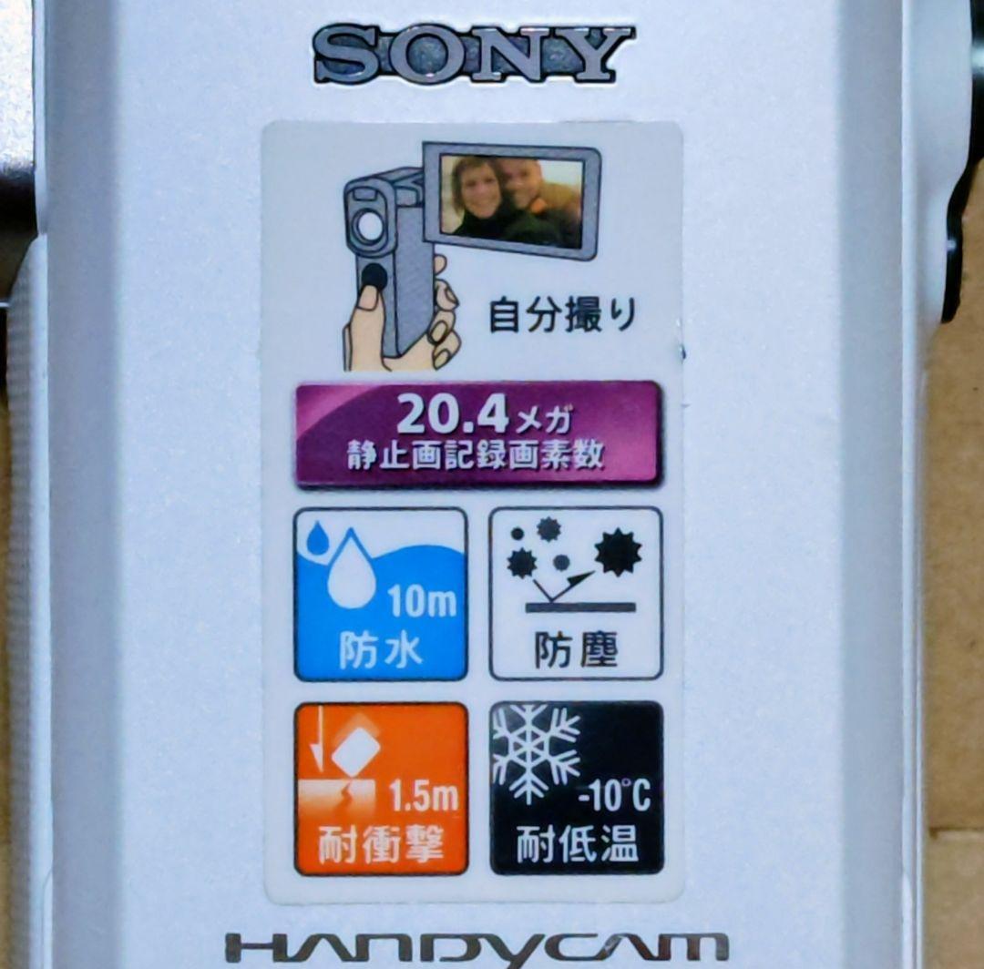 SONY HDR-GW66 ビデオカメラ 本体